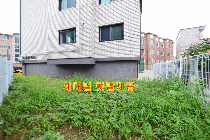텃밭.JPG
